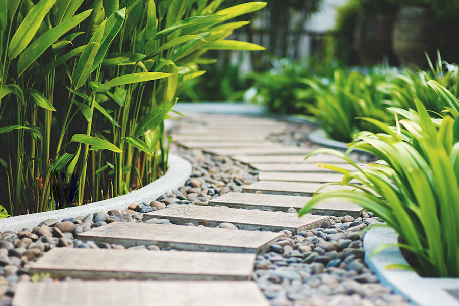 Menikmati Setiap Langkah: Seni Menjalani Jalan Santai Sendiri